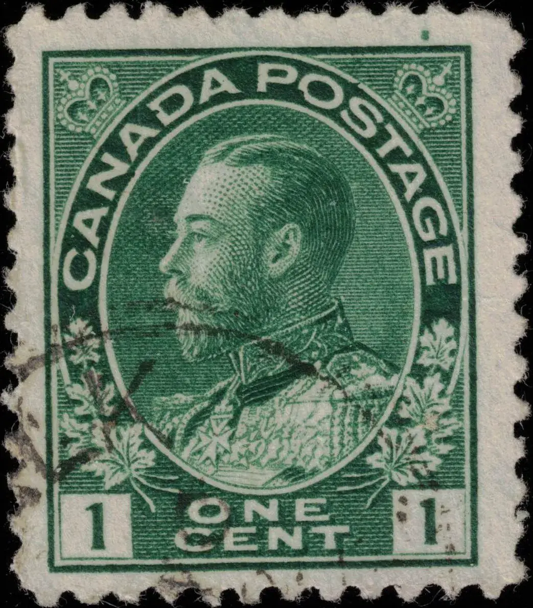 Image provided by Steve Hellsten